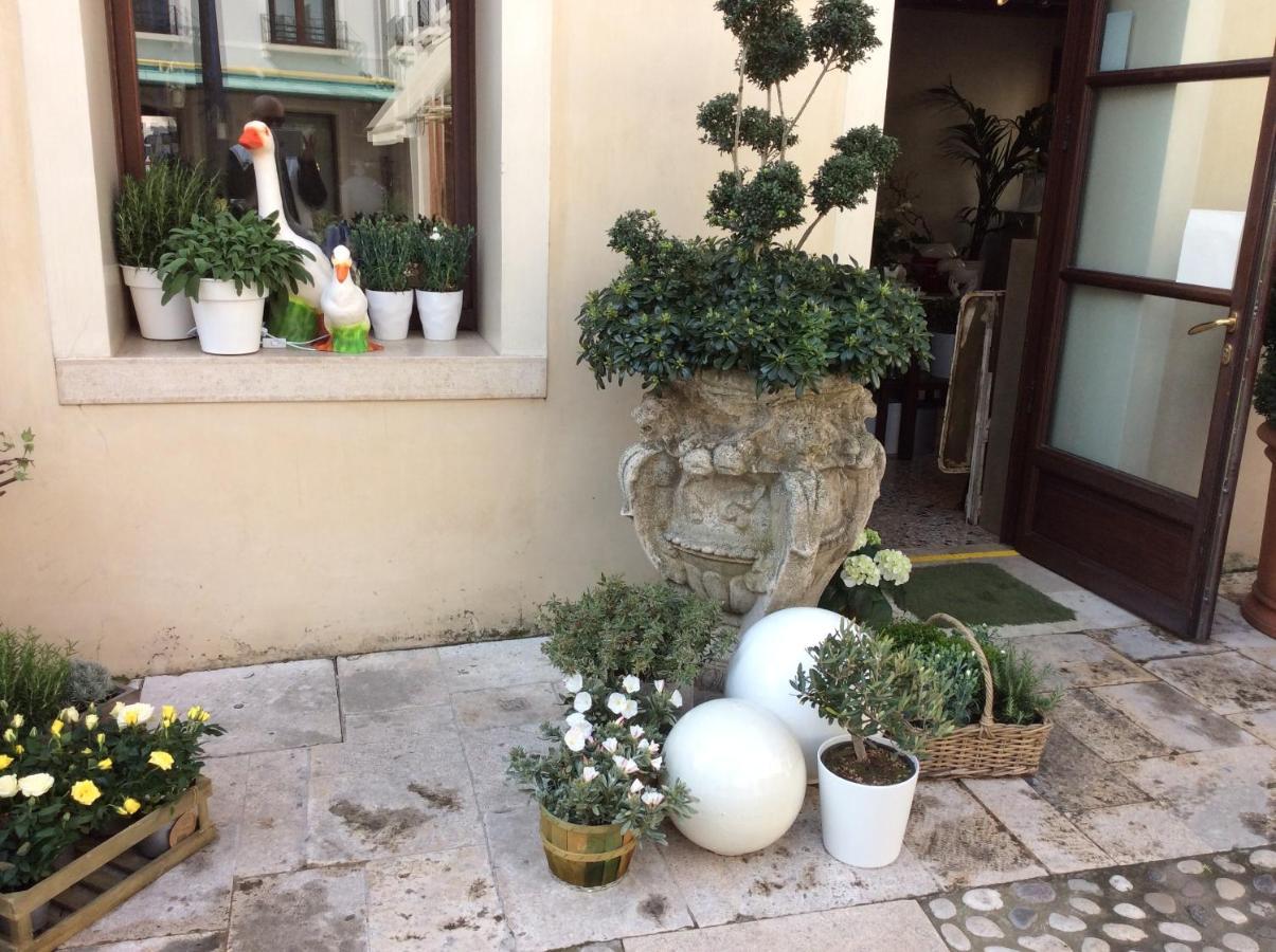 Latina - San Leonardo Treviso